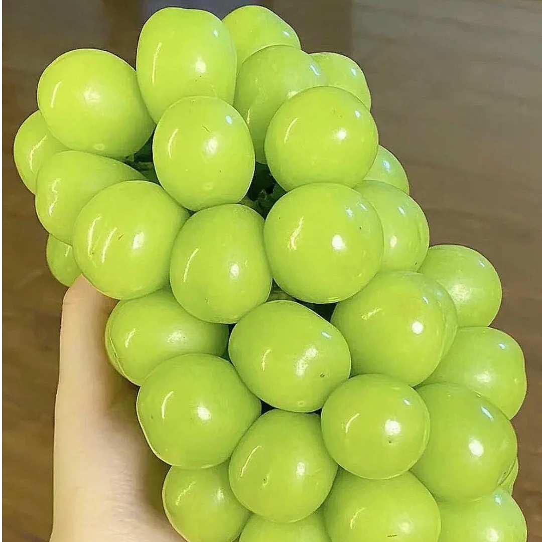 阳光玫瑰晴王一盒500g清洗好