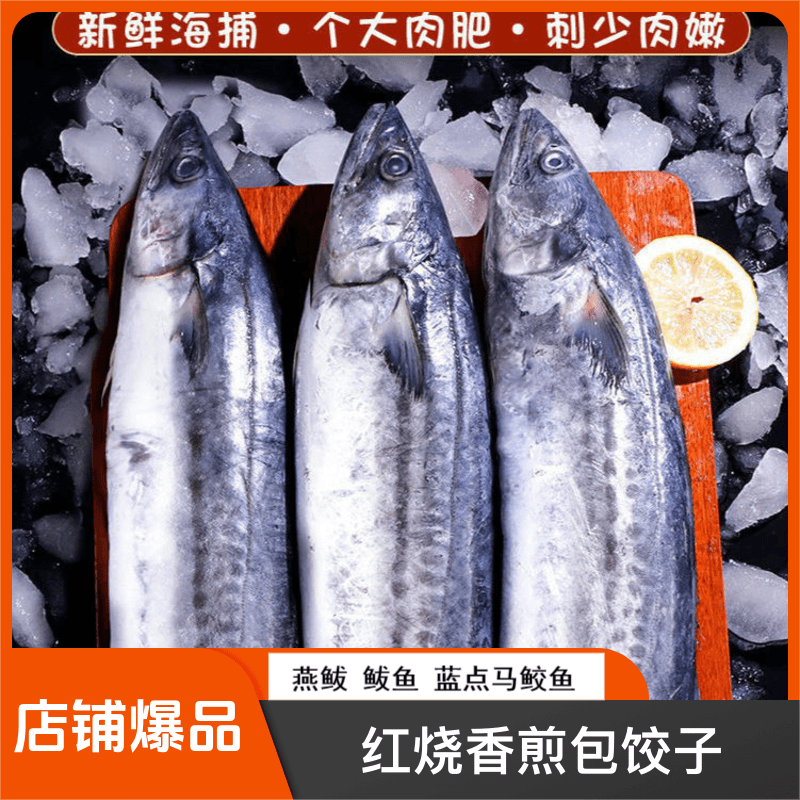 正宗青岛鲅鱼燕鲅鱼（4+1斤）码头直发红烧/香煎新鲜速冻顺丰包邮