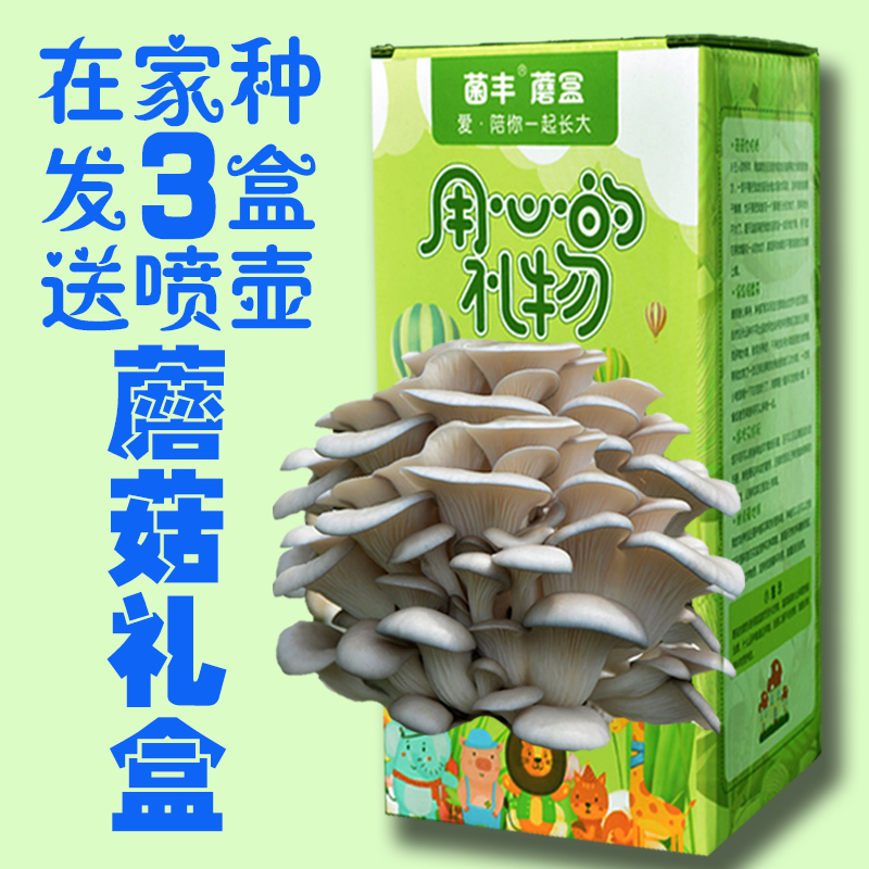 【买一发三】蘑菇盒子 儿童diy蘑菇养植盒在家养食用菌菌种蘑菇菌包