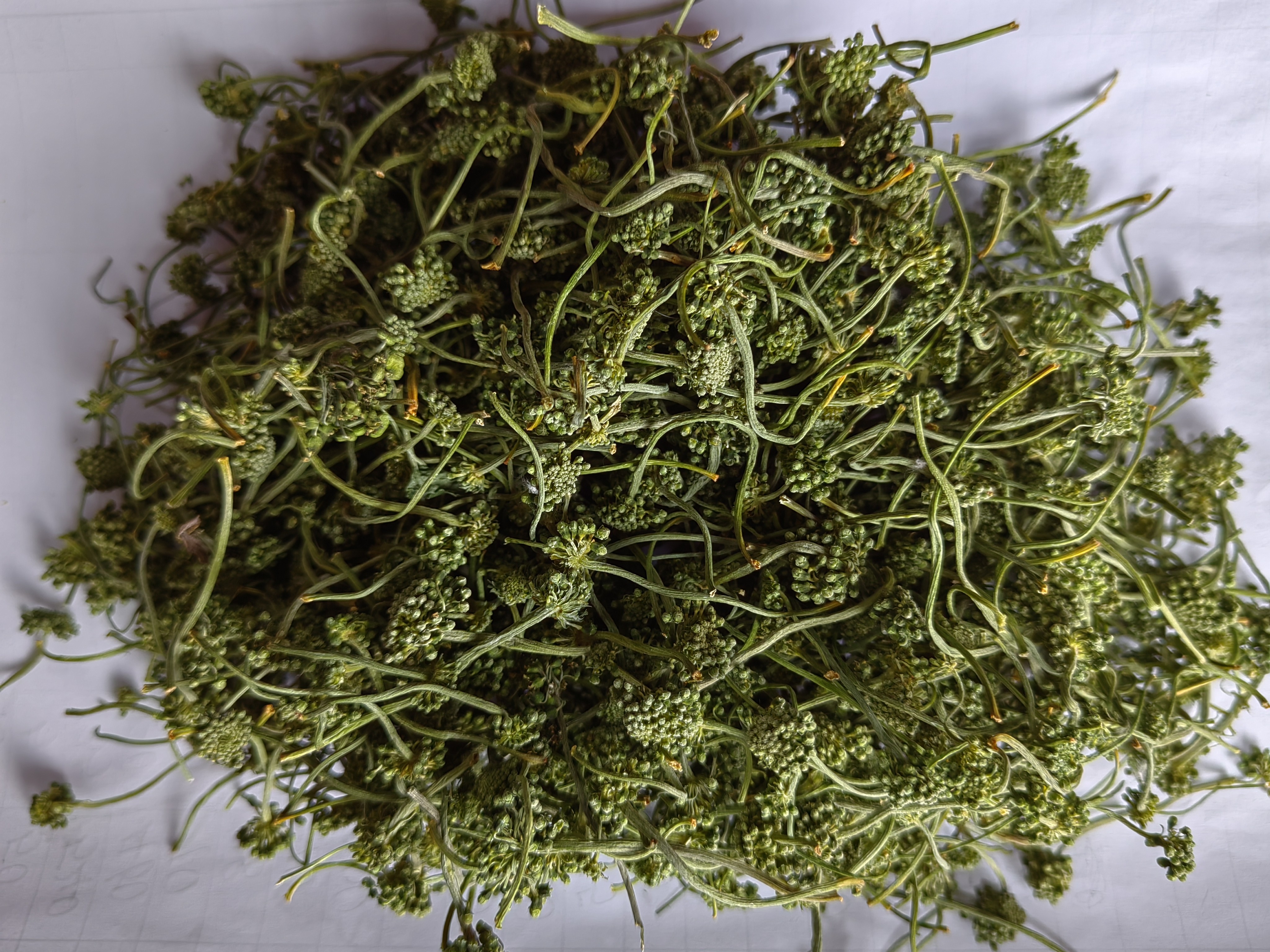 林下参花  泡水  泡酒滋补养生