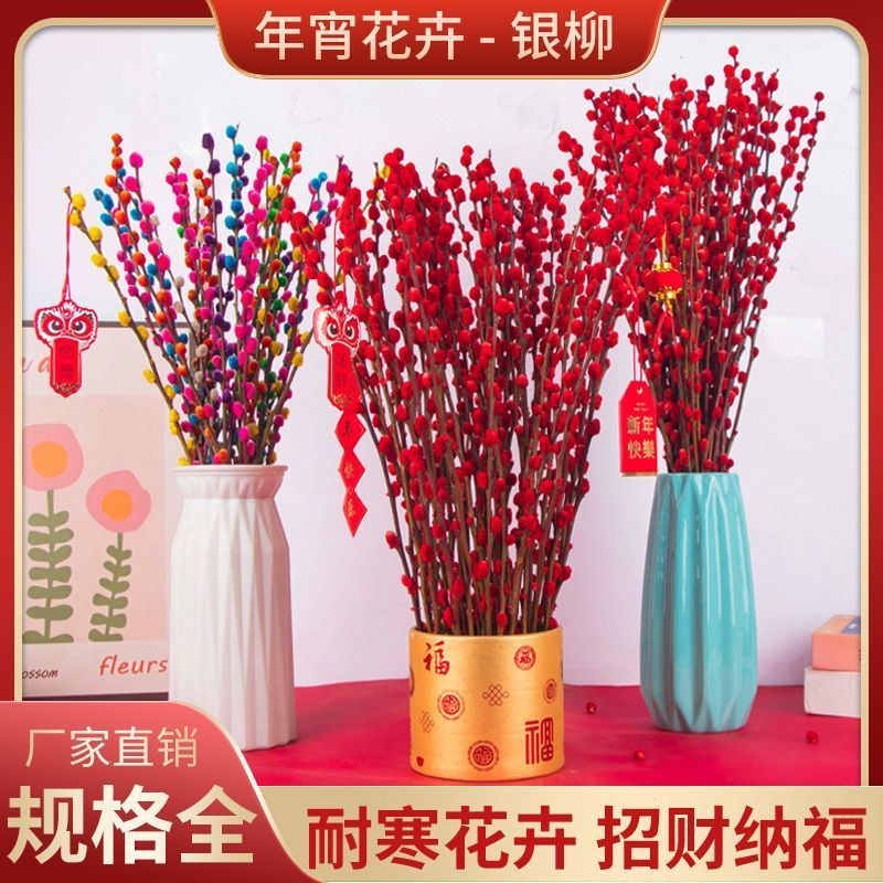招财银柳真花鲜枝春节年宵花卉水培植物干花红色银柳客厅室内装饰
