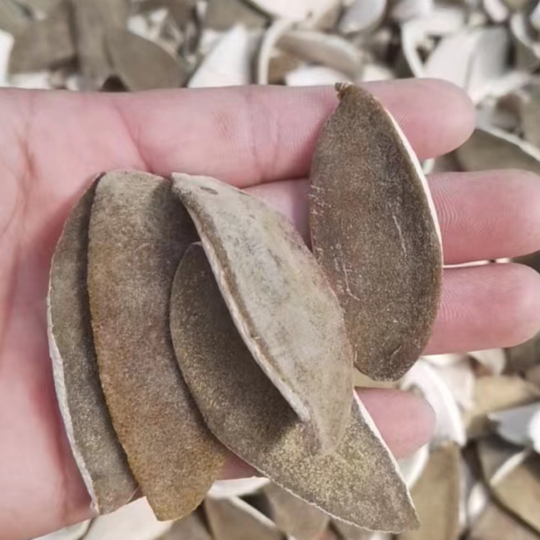 礞石山正宗化州橘红2024年精选高品质手工制作