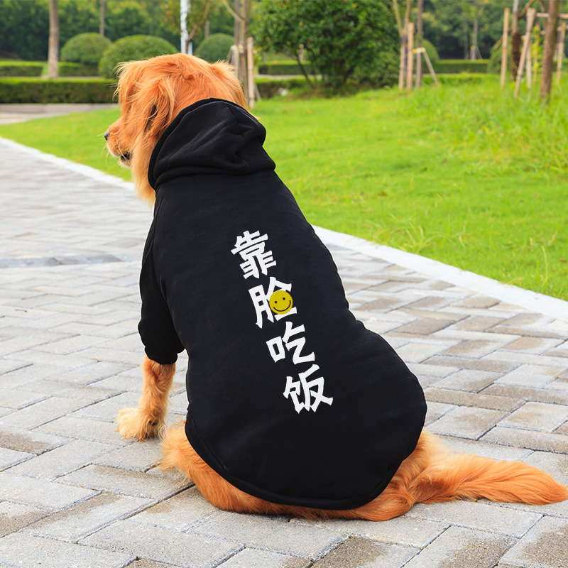 宠物网红田园犬恶霸犬宠物狗狗子精神小伙大狗狗衣服秋冬装防寒