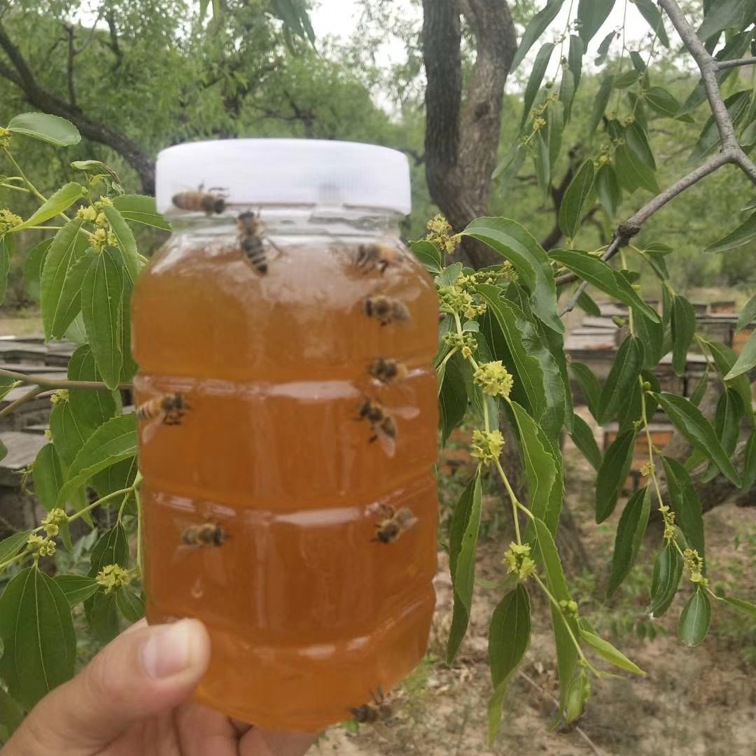【陕北特产】陕北枣花蜜2斤起包邮