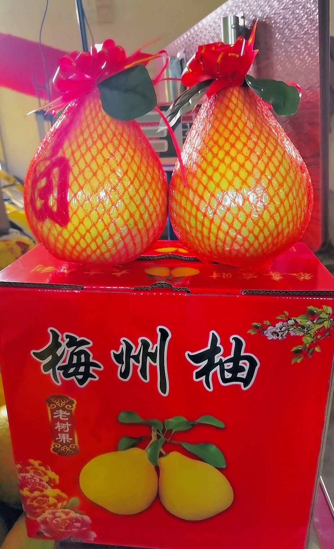 精选礼盒装广东梅州梅县隆文镇黄土高山沙田柚纯甜无酸