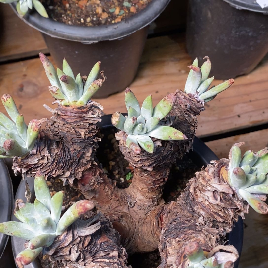 909个哈哈哈哈哈哈哈哈哈哈