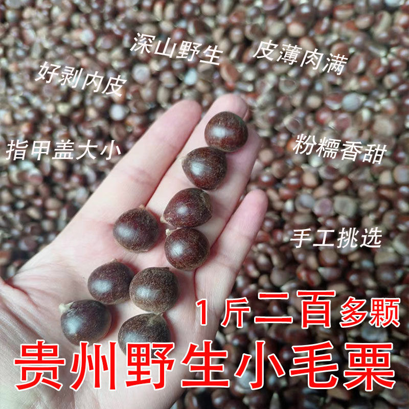 贵州野生毛栗子小粒新鲜板栗实惠特小板栗野板栗小个野生1g