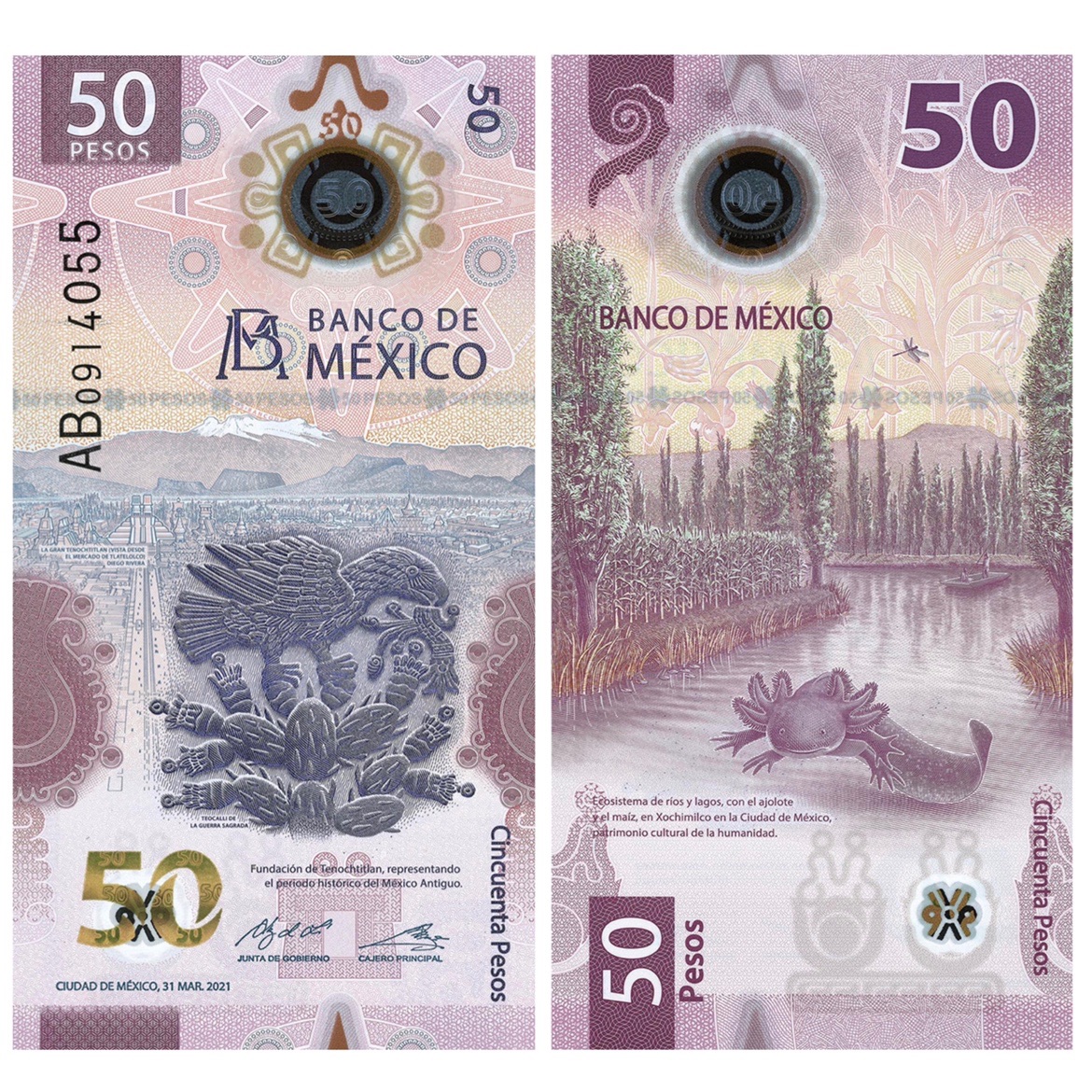 墨西哥50比索塑料钞 年份随机 IBNS获奖币 美洲外国钱币全新UNC