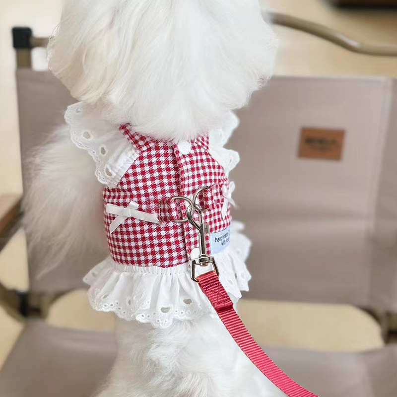 狗狗衣服牵引绳夏季可牵引宠物小狗比熊马尔济斯蕾丝公主裙子夏天