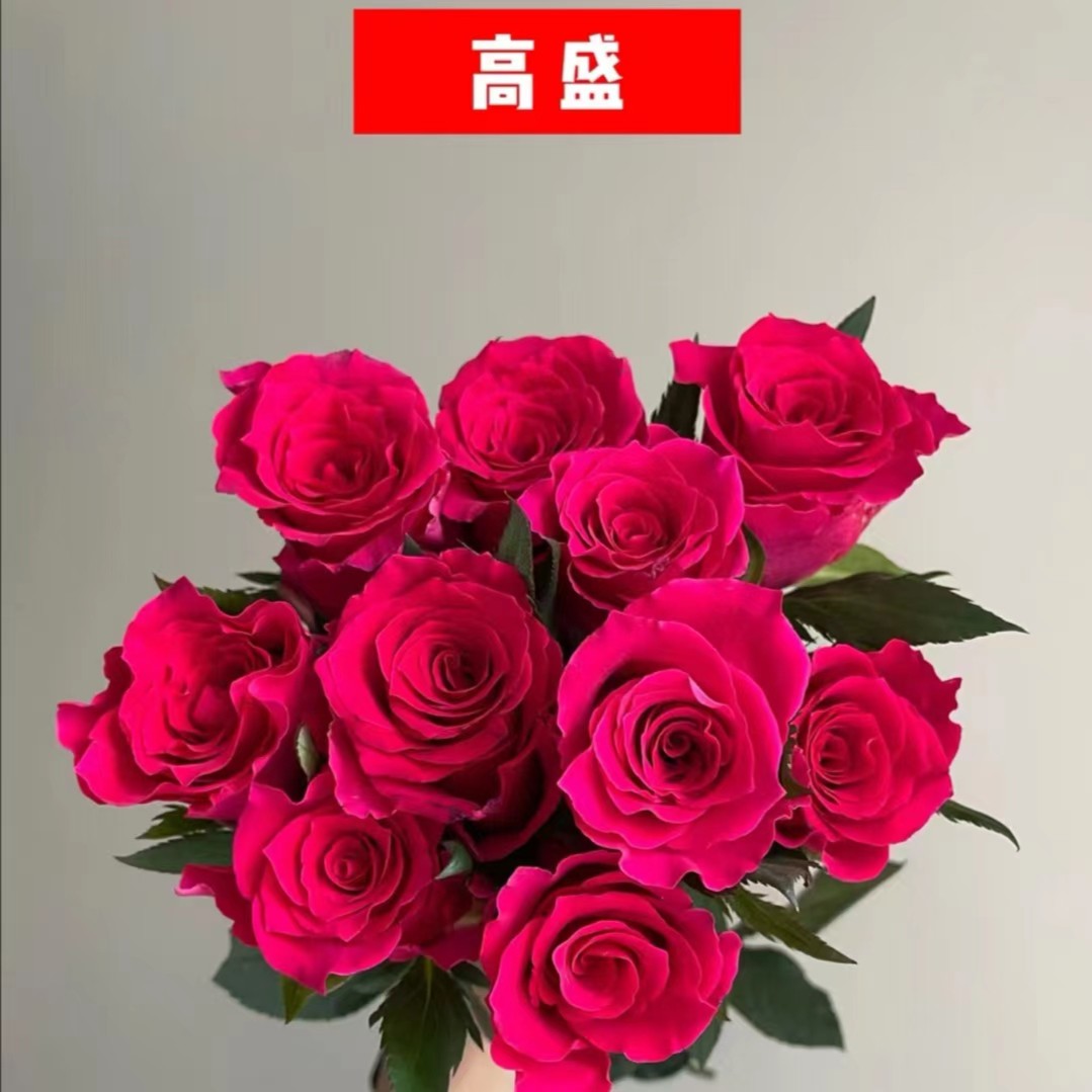 【高盛】云南基地直发顺丰冷链包邮