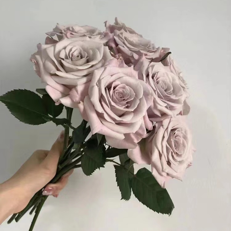 【曼塔】云南基地直发顺丰冷链包邮