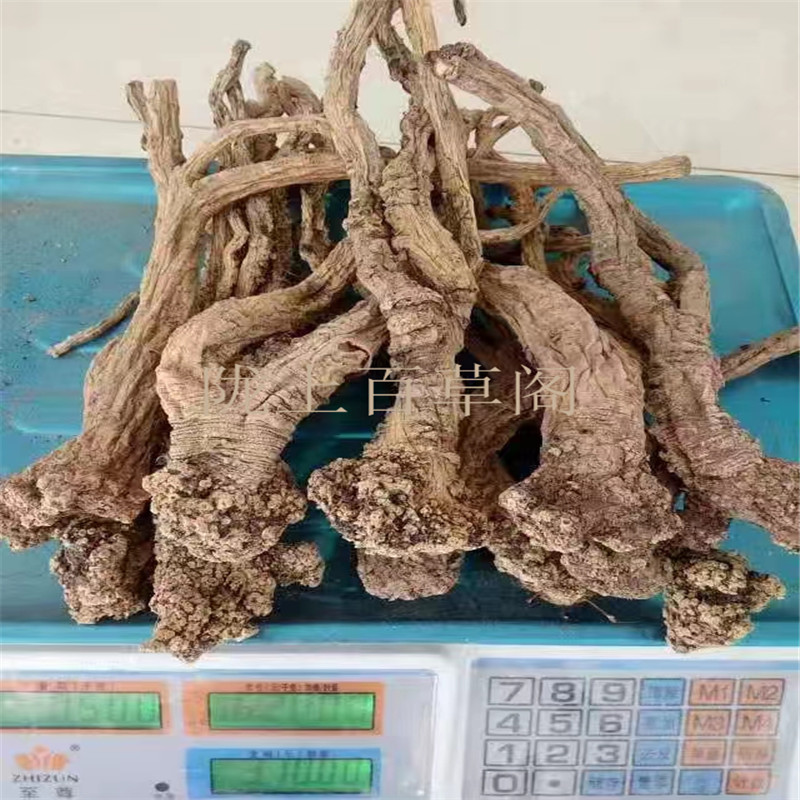 甘肃野山货党参中条250克500克包邮野生党参无添加食用农产品