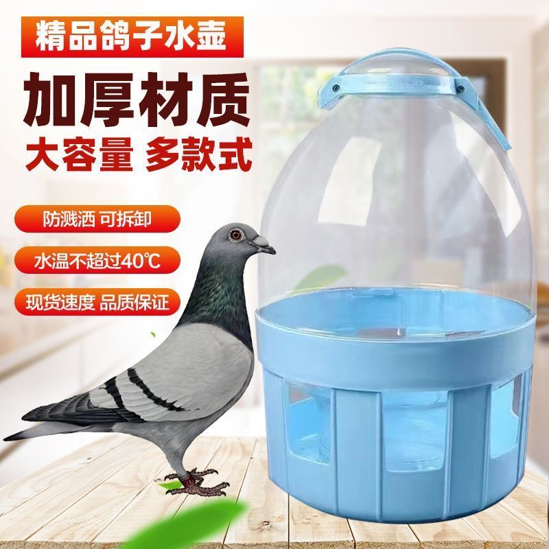 鸽具用品鸟用饮水器喂鸽子喝水加厚鸽子水壶饮水器蓝色绿色随机发