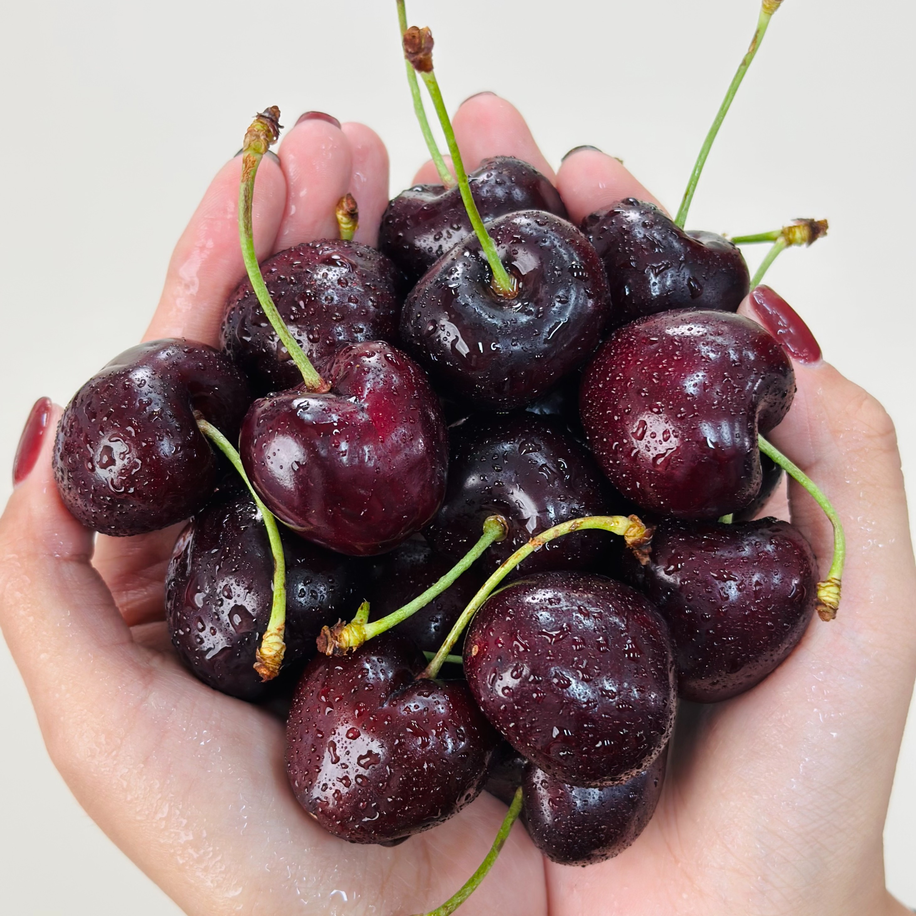 【吉致/DDC】 智利进口车厘子 2J-4J  新鲜大樱桃 新鲜水果