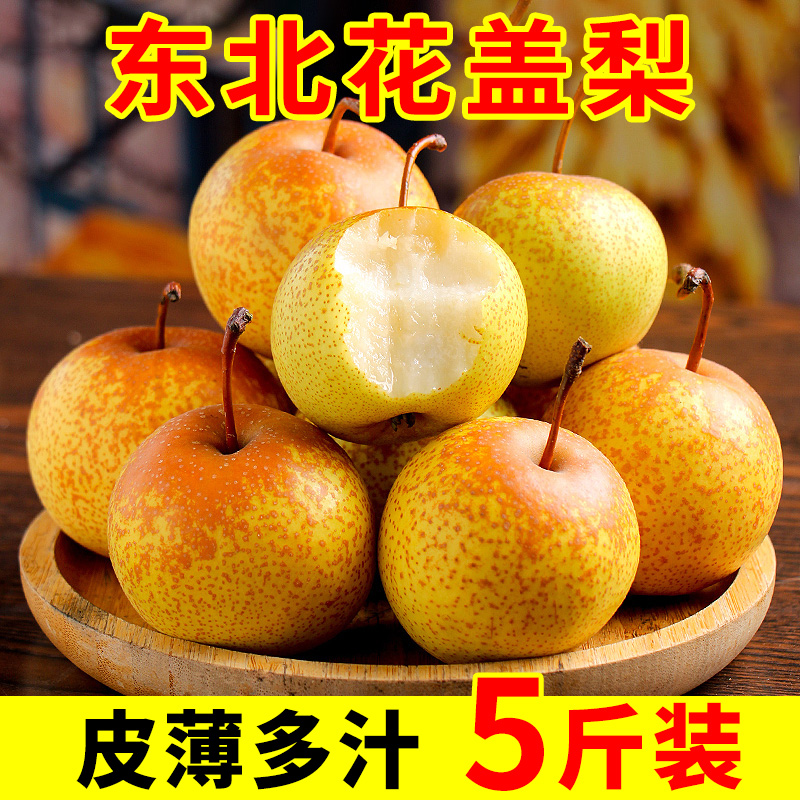 东北花盖梨5斤 鞍山特产新鲜软梨子应季水果 可做冻梨 整箱包邮