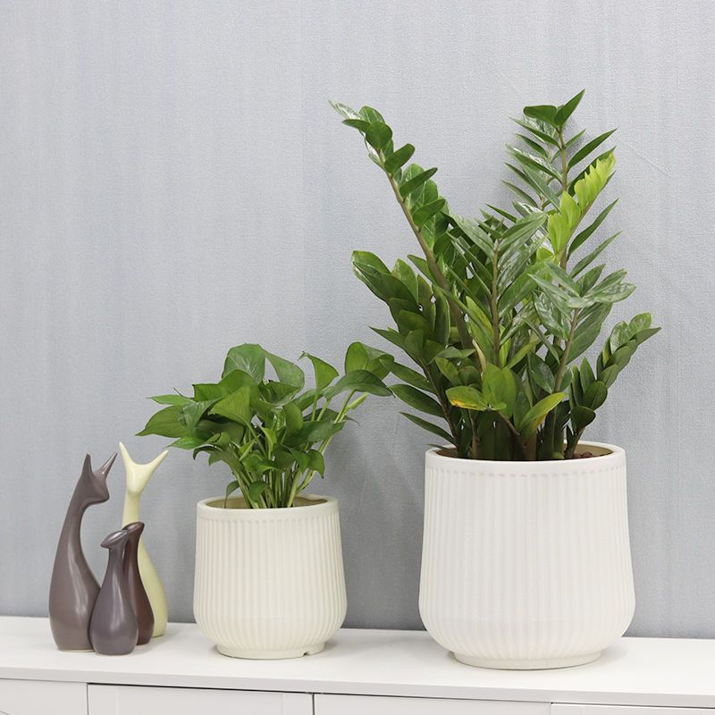 树脂塑料花盆轻奢高级感耐暴晒室内室外绿植专用