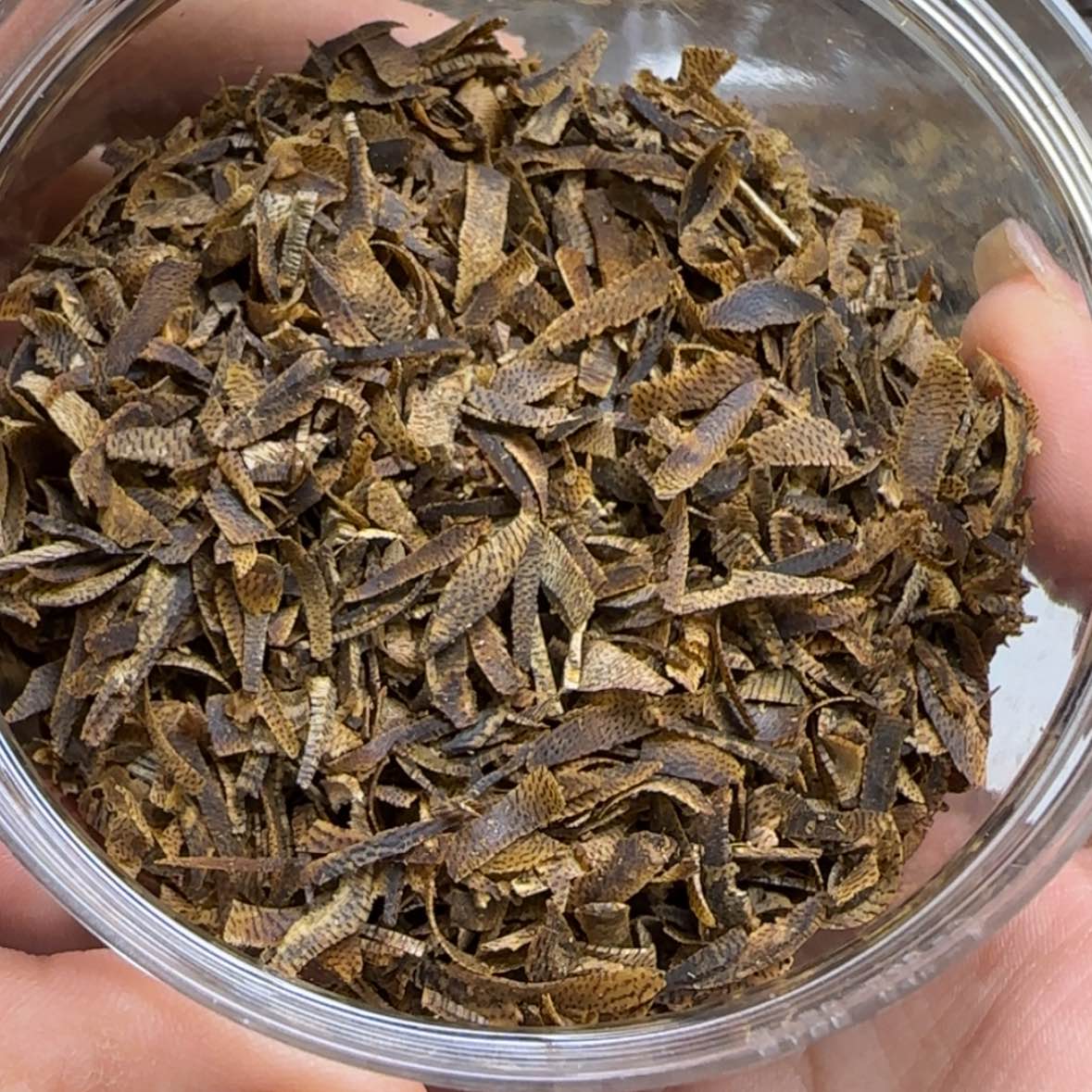 【闪购商品】s****e棋棋切丝30克