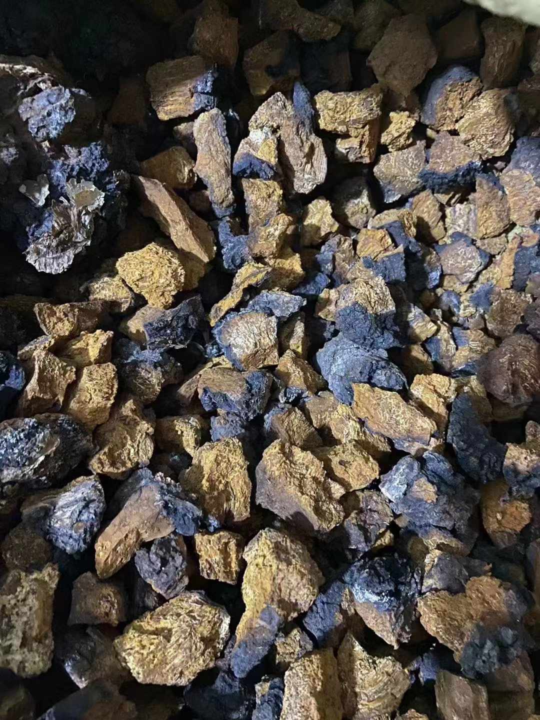 长白山特产 桦树茸 500克