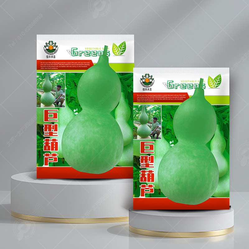 天然特大巨型超大葫芦种子中小八宝酒葫芦籽文玩观赏庭院阳台盆栽