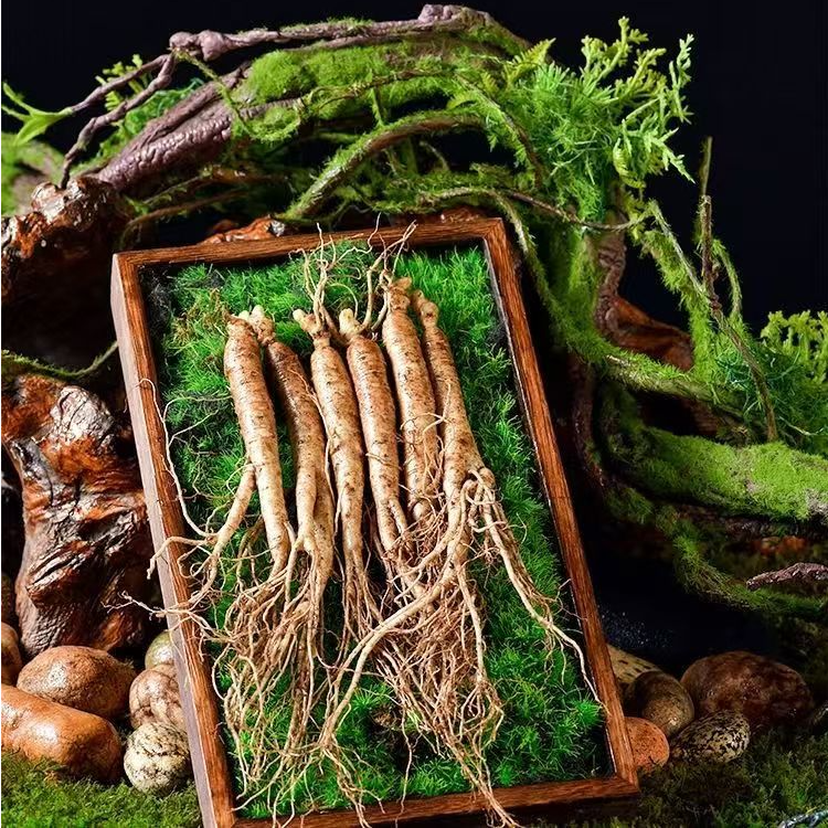 【15支】长白山新鲜人参【每支13-18克】 煲汤 泡水 煮茶 泡酒