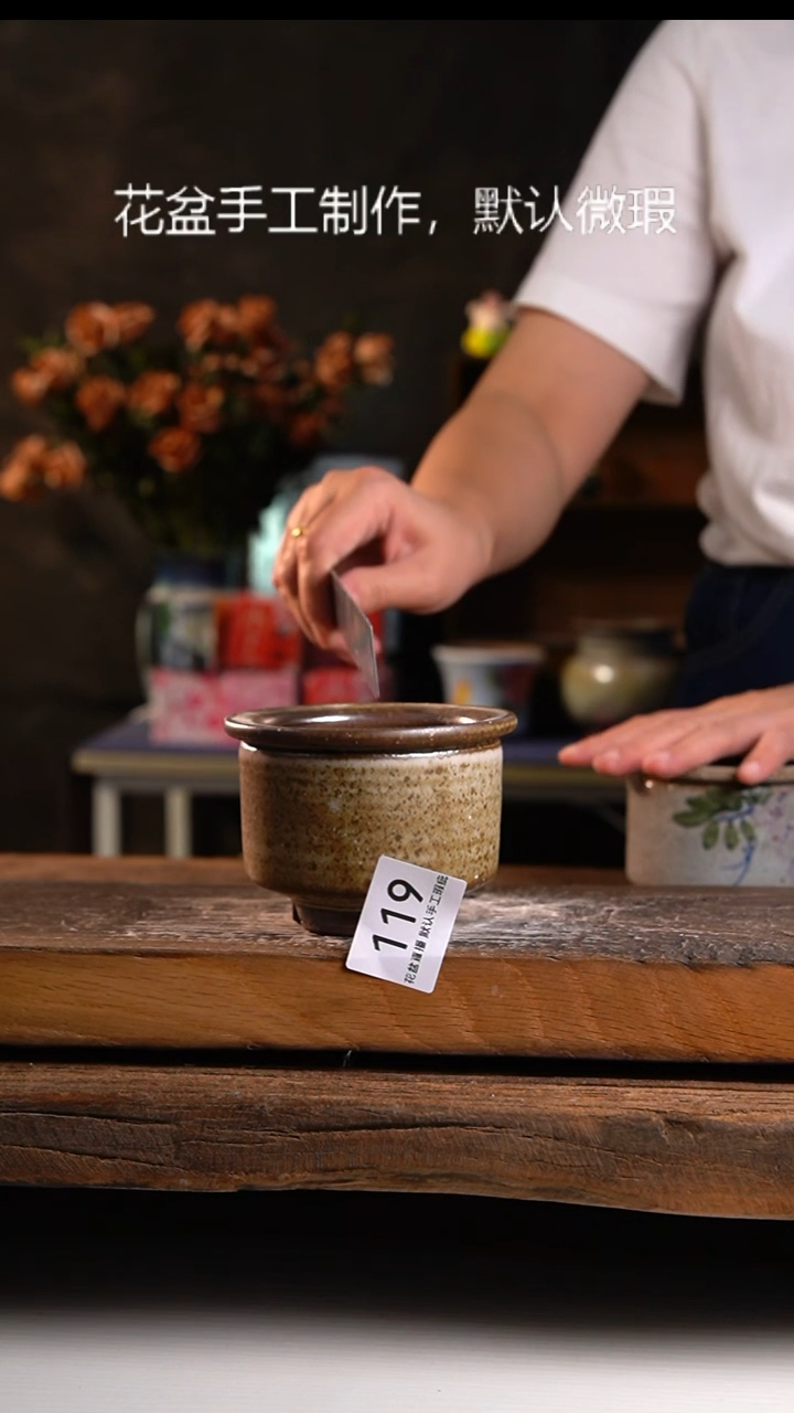 【闪购商品】陶瓷花盆