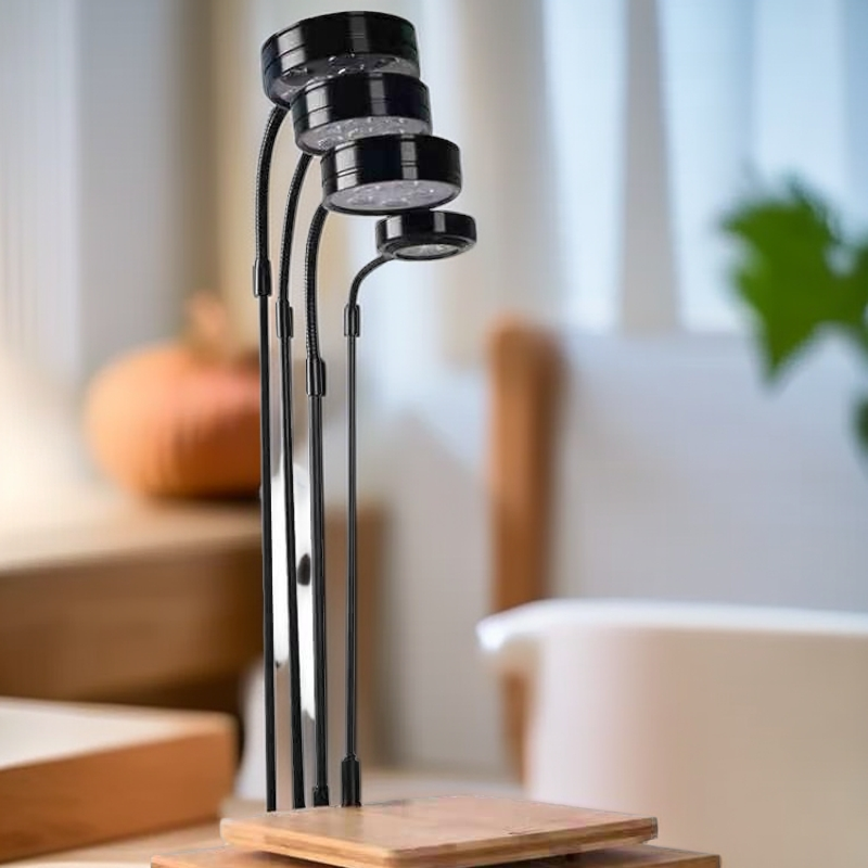 植物灯苔藓微景观全光谱调节高度植物灯可调