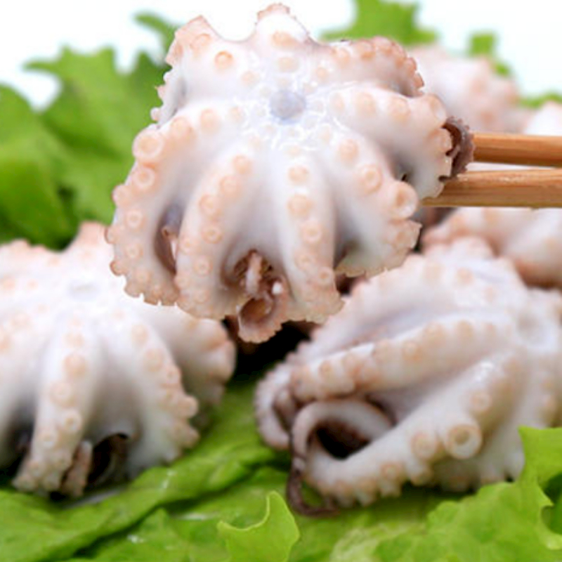 {小章推荐}山东日照发货海捕  无冰衣小短腿八爪鱼  