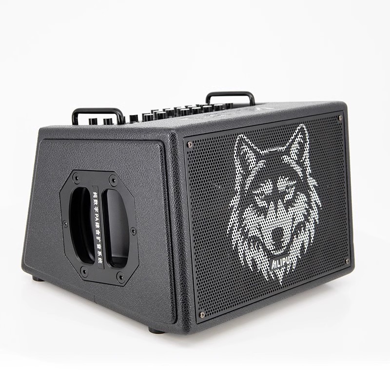 AILIPU/艾利普Se300户外乐器音响K歌直播吉他弹唱蓝牙专业音箱
