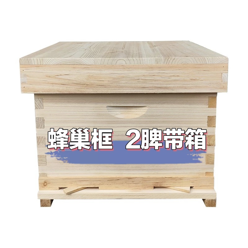 蜂巢框  2脾蜂带箱 顺丰包邮