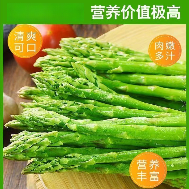 芦笋种子四季播多年生耐热耐寒芦笋种子家庭盆栽阳台蔬菜籽