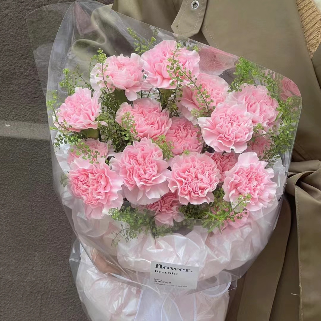 单头康乃馨鲜切花 粉色红色云南鲜花室内插花昆明斗南基地直发