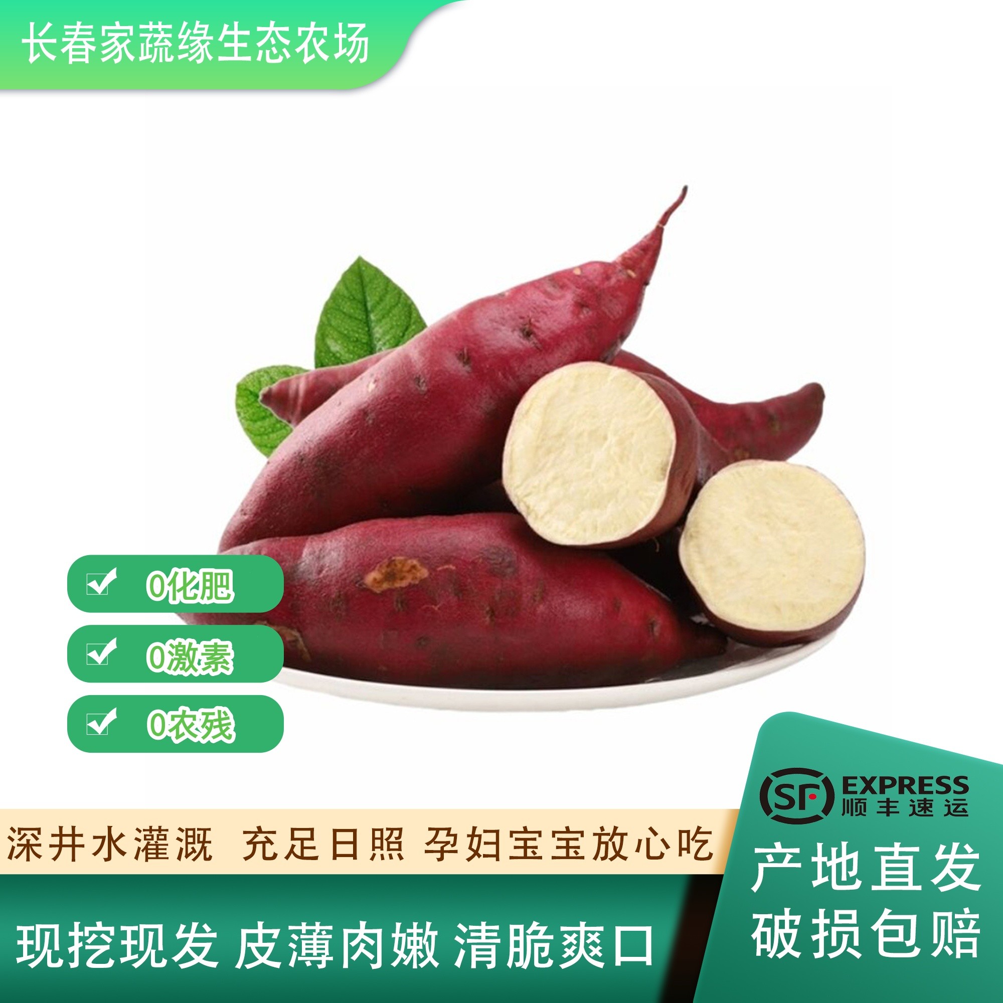 济薯  甜面不噎  健康种植