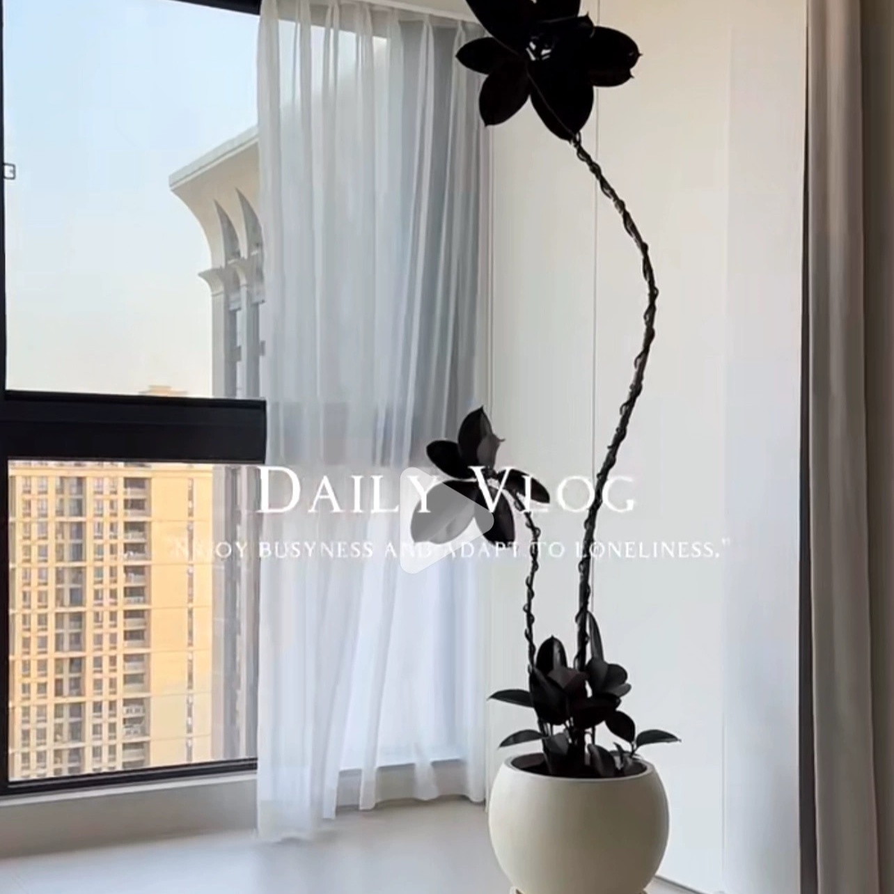 黑金刚橡皮树客厅大盆栽造型室内大型绿植好养四季办公室阳台植物