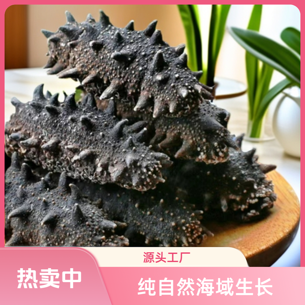 【长岛高货】烟台海参纯日晒国标纯淡干源头工厂滋补刺参送礼干海参