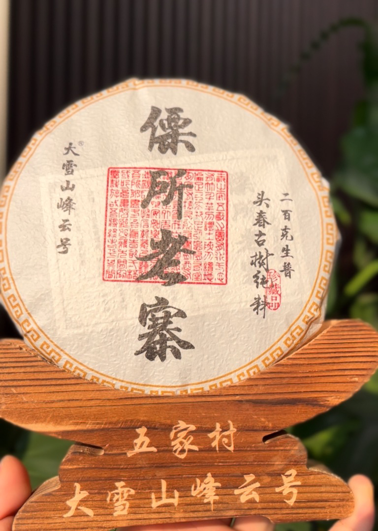 2023年石头地斜坡地大雪山傈所头春古树挑采200克