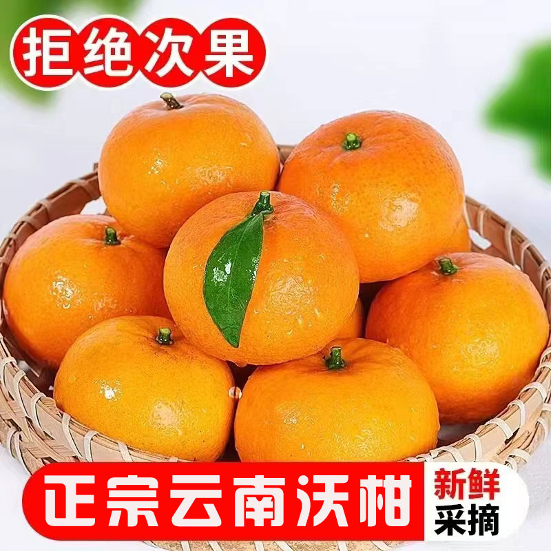 正宗云南哀牢山高山沃柑新鲜水果皮薄多汁桔子柑橘高原直发