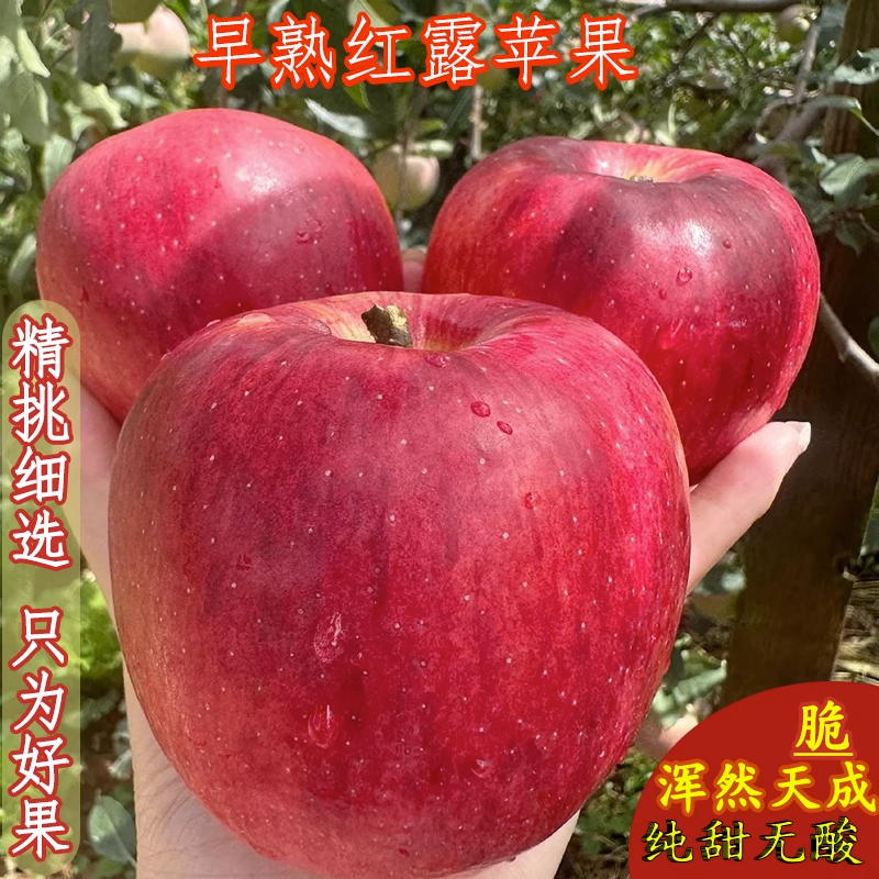 现摘云南昭通冰糖心丑苹果新鲜水果当季整箱甜孕妇小苹果