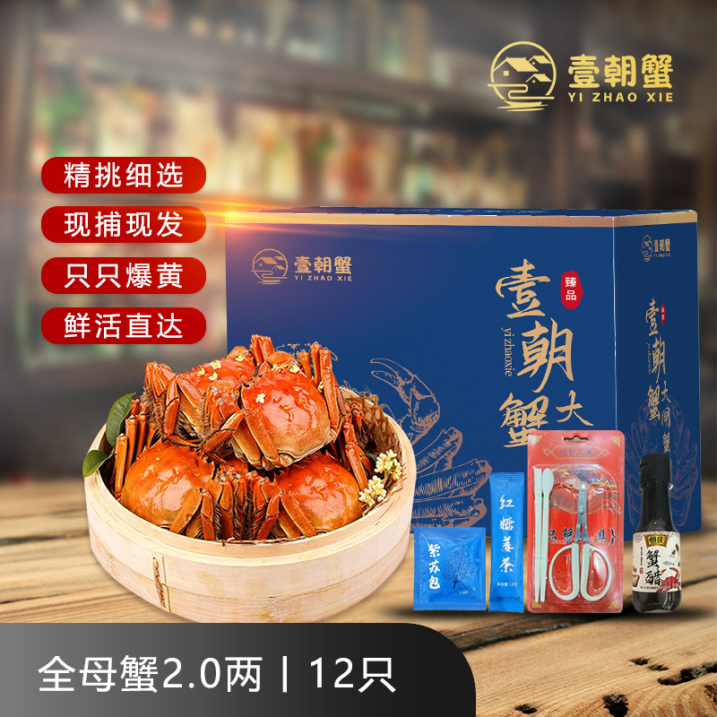 【活蟹】壹朝蟹精品苏州大闸蟹全母蟹2.0两共10+2只高标准 鲜活顺丰
