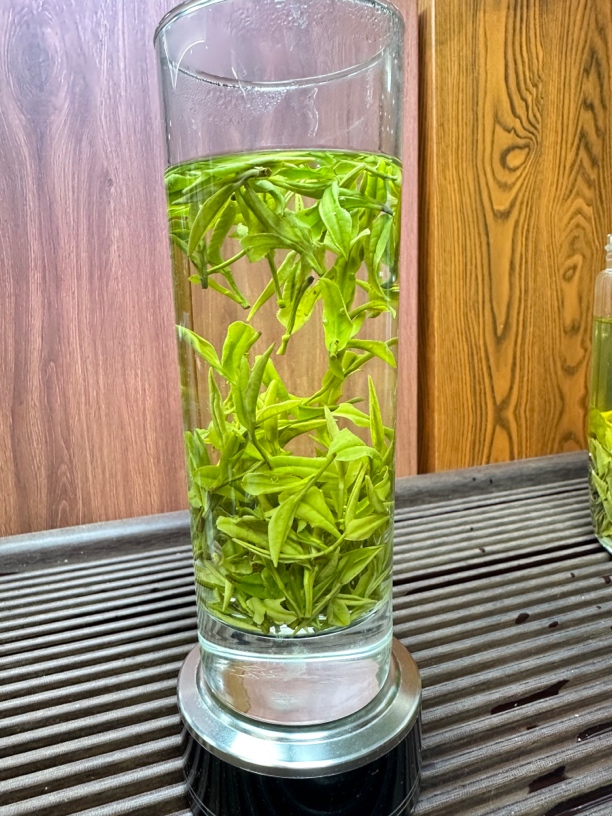 【白茶真不孬】3-5-0#高山茶水柔