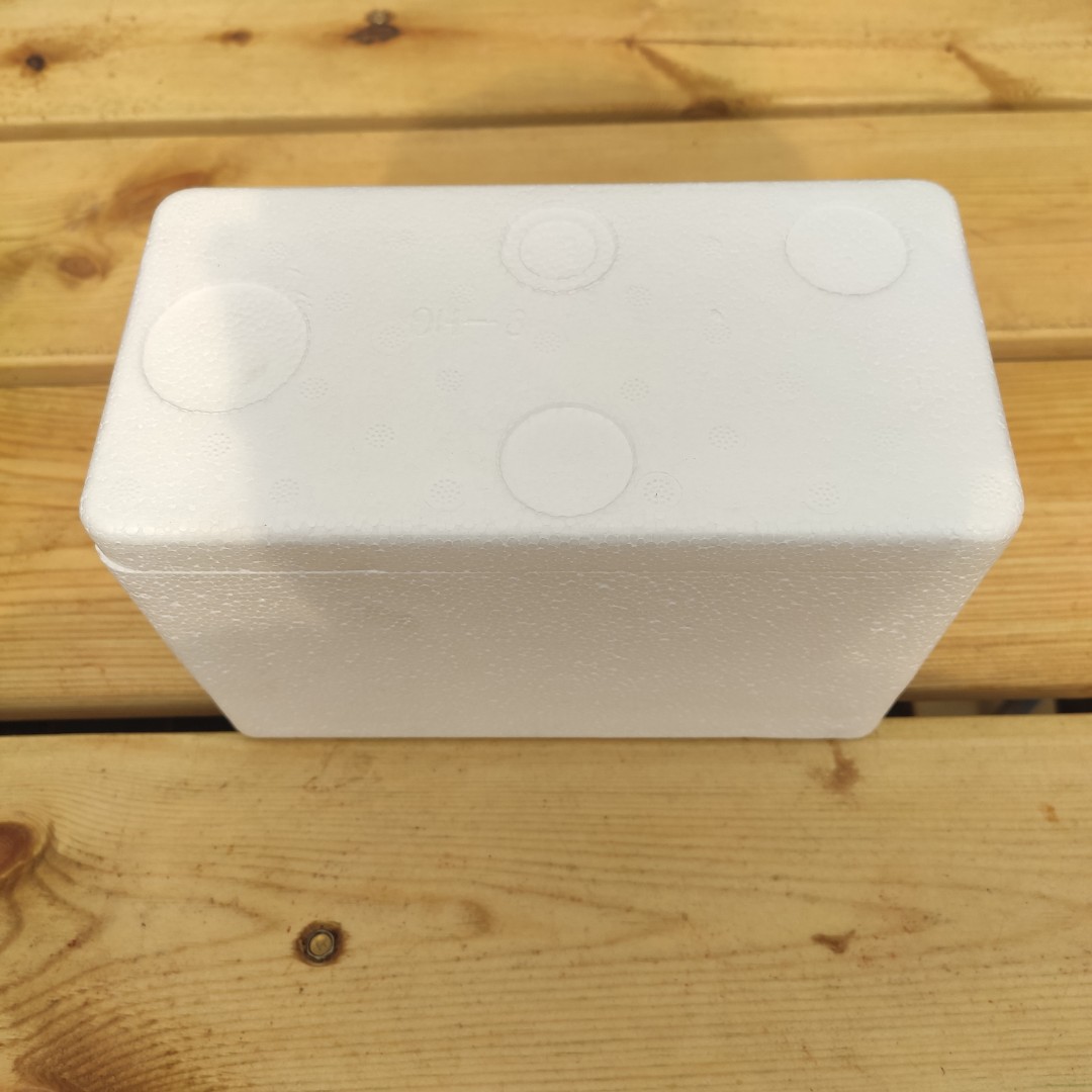 保温箱肉肉专用冬季【0度以下区域推荐】精品控养简单多肉植物