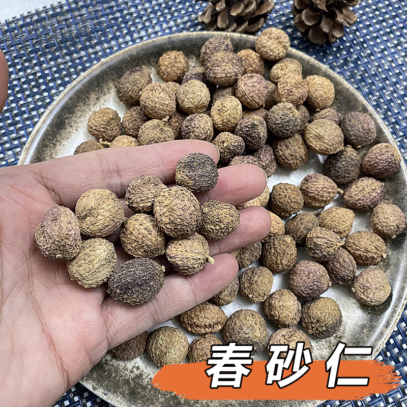 【精选去枝】广东阳春春砂仁   