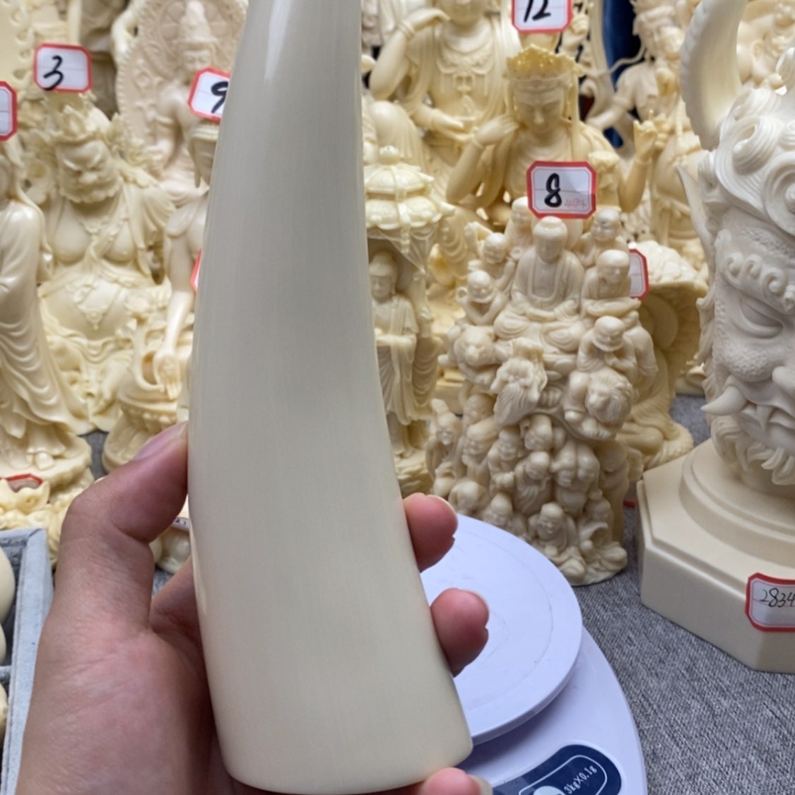 【闪购商品】红贵宝猛犸尖尖
