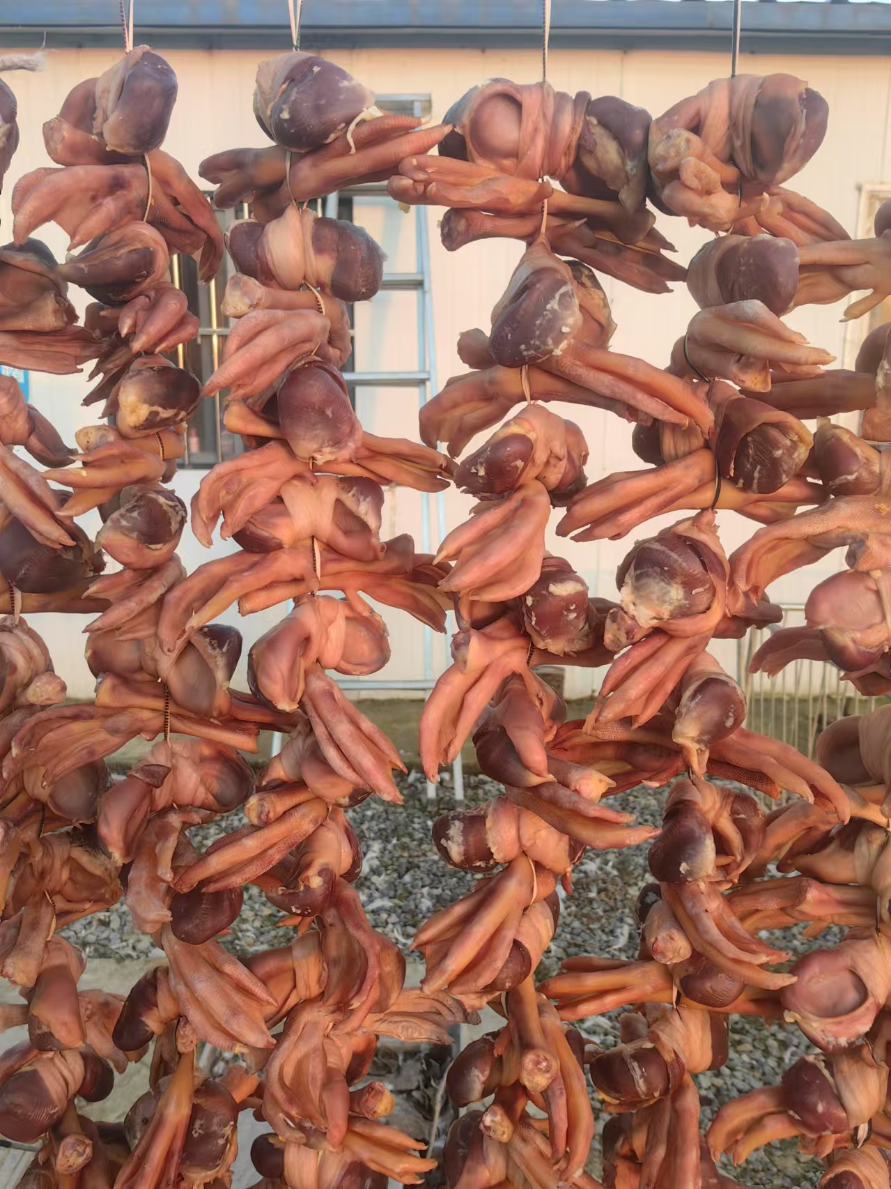 【腊鹅肫爪】顺丰包邮假一罚三皖西白鹅肫爪