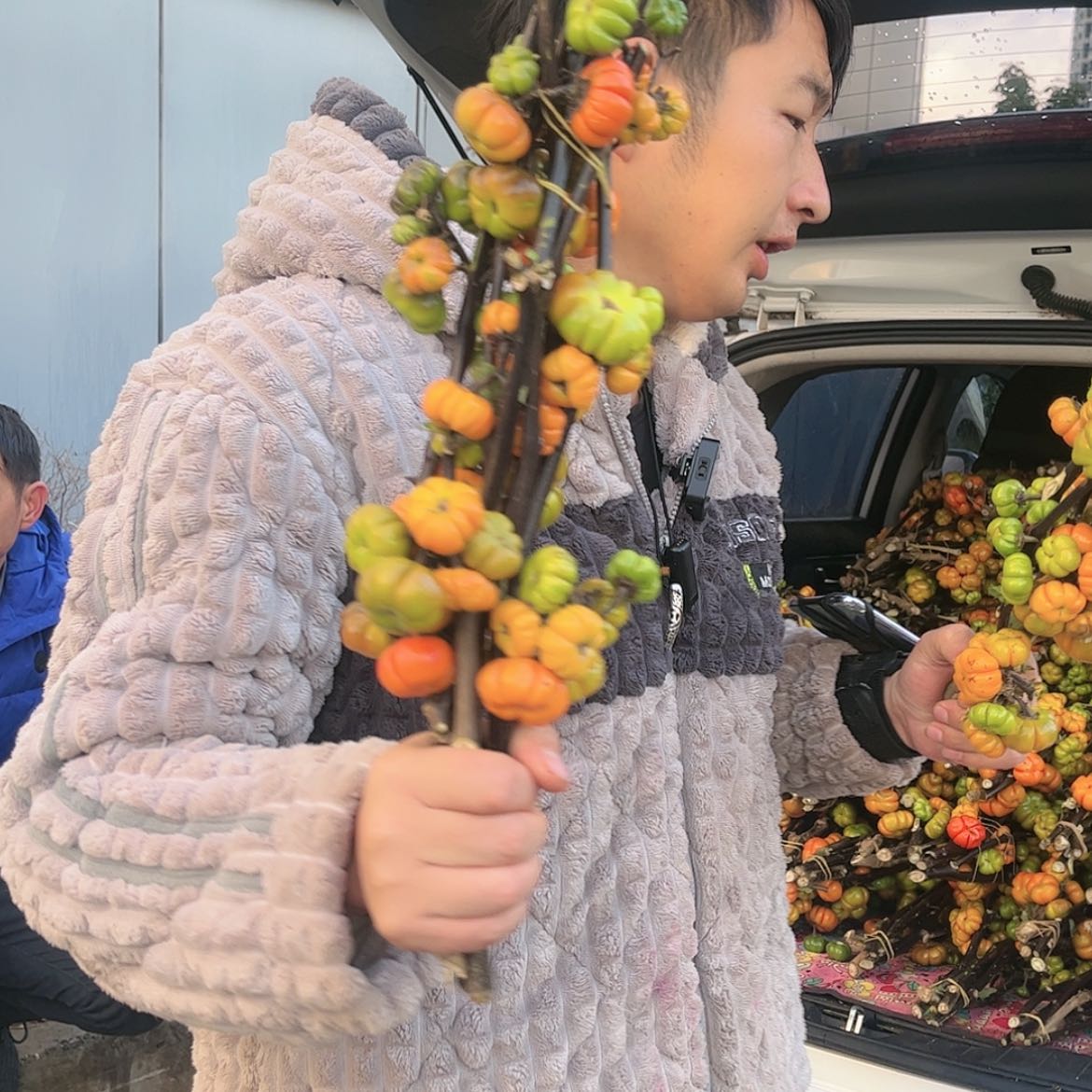 【闪购商品】小南瓜1扎1单中通2单顺丰