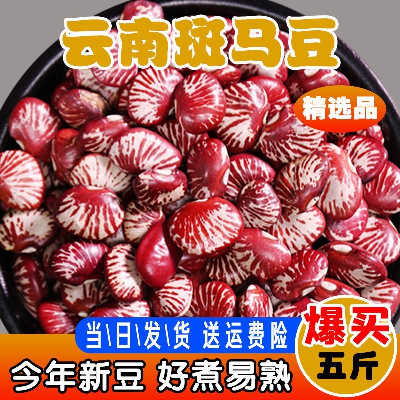 【发二斤】云南斑马豆新货农家自产大圣豆荷包豆