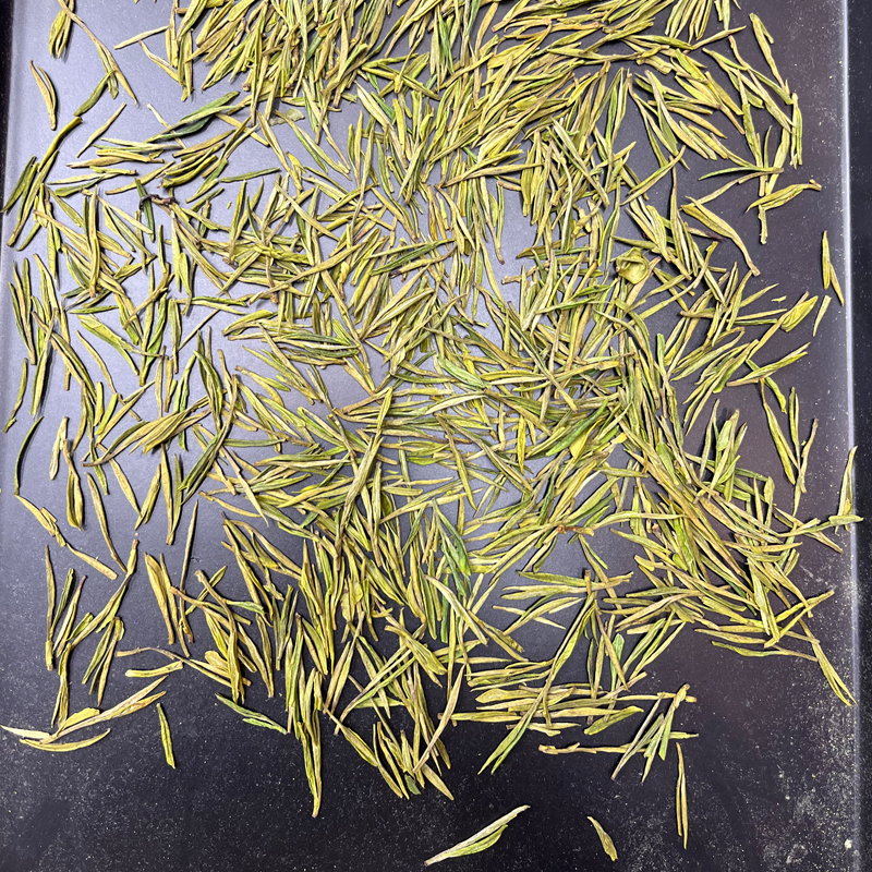 【精品浓香】高性价比浓香安吉白茶2023新茶茶厂