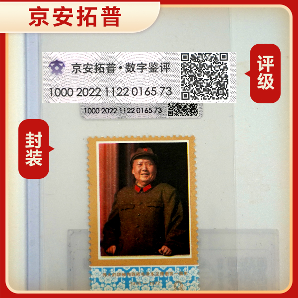 【教员在检阅】J21（6-6）单枚 京安拓普数字鉴评