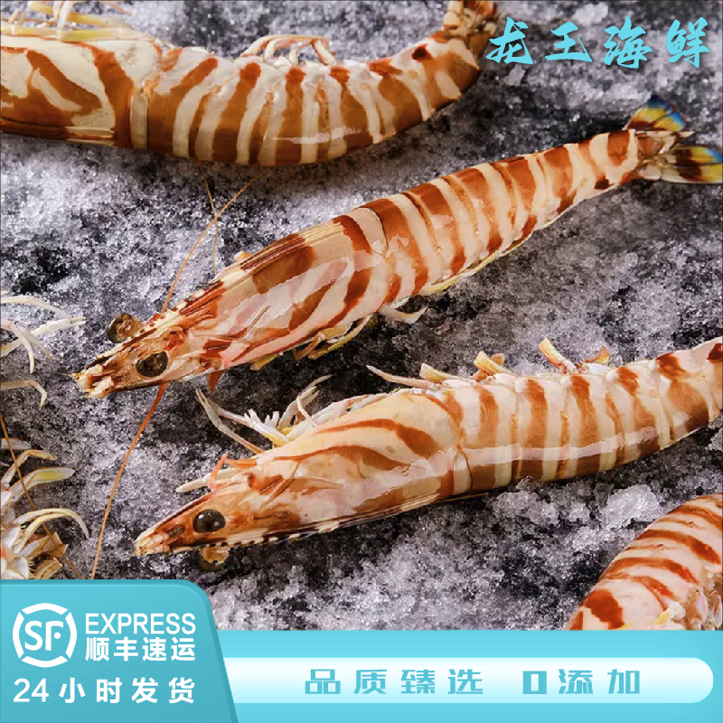 【顺丰直发】舟山嵊泗竹节虾1500g-3000g（3斤起）鲜活速冻 海虾 鲜虾
