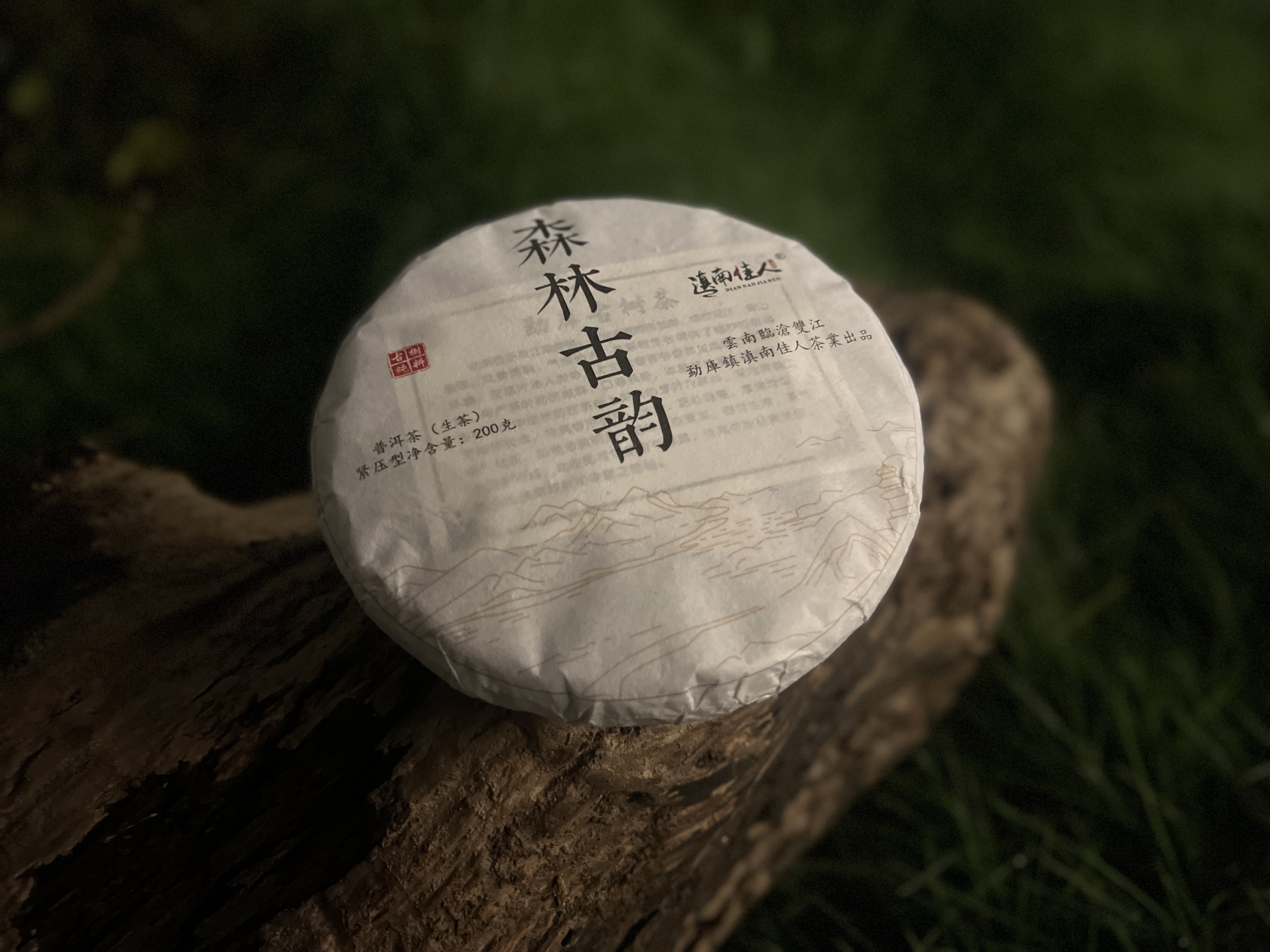 2021年森林古韵古树春茶200克饼、兰香密韵、茶汤清凉醇厚、茶气足