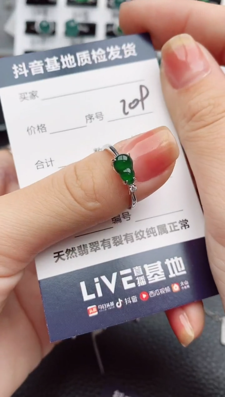【闪购商品】翡翠颈饰银S925镶嵌209